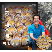 직접 당일조업 노랑 새조개 자연산 손질 실중량 500g, [손질] 노랑 새조개 500g (2인분/생물), 1개