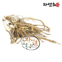 국산 한속단 속단 차 뿌리 150g, 1개
