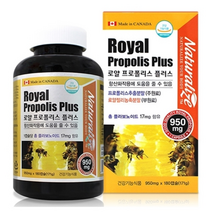 네추럴라이즈 로얄 프로폴리스 플러스 900MG X 180캡슐 X 6병 레시틴 로열제리 로얄젤리