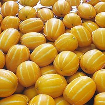 농장직송 3kg 4kg 고당도 성주 참외, 고당도 한입참외 4kg