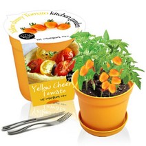 [천삼백케이] [농업회사법인 세경팜 주식회사] 세경팜 컬러키친가든 노랑대추방울토마토 식물키우기 텃밭가꾸기, 레드, 방울토마토