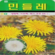 AR 민들레 1L 대포장 씨앗