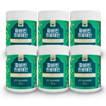 웰리즈 자이언트 파바빈 프로테인 210g 식물성 단백질 파바빈콩 분말 100%, 210g x 6통, 6개