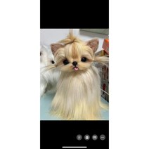 시츄 요크셔테리어 모형 인형 실물 강아지 모델 실사판, Expedited 500, 요크셔