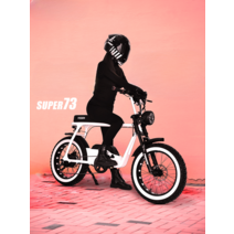 전기팻바이크 SUPER73S1 S2 RX 배달 전기자전거 스노우 오프로드 산악 자전거, S2 48V19A 수입 배터리, 48V