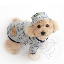 새임 티셔츠 모자세트 그레이 강아지모자 애견옷 개모자, S