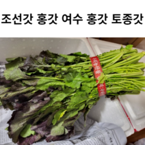 여수 홍갓 홍 갓 1단 김장갓 생갓 조선갓 여수 돌산갓 돌갓 토종갓 토종 생 국산 국내산 1묶음