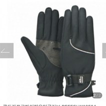 레드페이스 NC05 여겨울등산장갑파이팅우먼글러브 W19 (7933458) (7933458), M ◈178268620◈