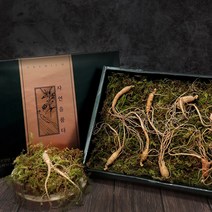 강원도 자연산 산양삼 건강선물세트 사포닌 아미노산 5~6년근 국내산100%, 5년 6년 8뿌리