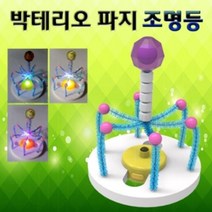 박테리오 파지 조명등 만들기 (5인용), starshop 본상품선택