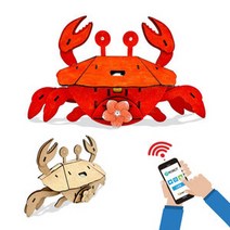 사물인터넷(IoT) 게로봇만들기