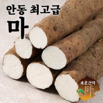 안동 최고급 장마 산마 햇마 2kg 5kg 산지직송 국내산 참마 생마, 2kg 장마 중품, 1개