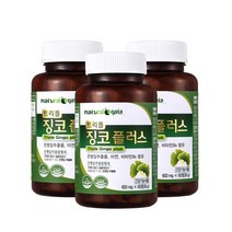 은행엽엑스 은행잎추출물 기억력 징코 혈행 혈액순환 개선 영양제 징코 플러스 3병 6개월분, 600mg x 3병