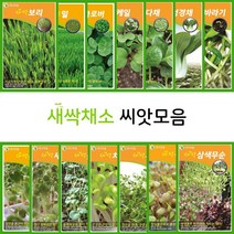 새싹 채소 씨앗 모음 배추 보리 무순 순무 청경채 양배추 치커리 홍염무 홍화 수경재배, 4.새싹들깨씨 25g