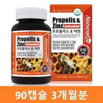 캐나다 프로폴리스 아연 항산화 캡슐 네추럴라이즈
