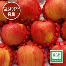 [포천 사과] GAP인증 껍질째 먹는 명작 포천 홍로사과 난이사과, 1박스, 10kg(42~44과)