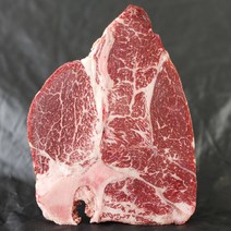 드라이에이징 한우 등심 숙성 티본 소고기 스테이크 T본 STEAK 캠핑용 집에서 스테이크용, 육우 채끝 500g