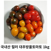 컬러 대추방울토마토 500g 1kg 국내산 산지직송 컬러풀 색색별 대추방울토마토 토망토 스테비아 토마토 망고토마토 애플방울토마토, 1box