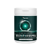 류신 WPH 유청 단백질 L-Leucine 더블유피에이치 protein 프로틴 엘로이신 유청단백가수분해물 완두 단백 분말 유청농축 단백분말 가루 파우더 운동 전후, 1개, 280 g