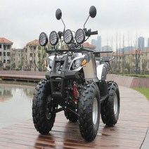농촌 사륜 오토바이 ATV 오프로드 전기 사발이 버기카, 화이트