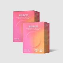 GC녹십자 필업콜라겐 2박스(1개월분) 피쉬콜라겐 펩타이드 100%정품 161237