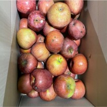 주스용 사과 10kg 국내산 가공용 조리용 쥬스용, 부사 10kg