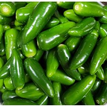 국산 할라피뇨 고추 1kg 생고추 생할라피뇨고추 할라피뇨고추 퍼팩트고추 아삭이고추 퍼펙트아삭이 할라피뇨생고추 퍼펙트고추 엄지고추, 1