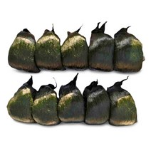 웰메이드 남해안 고흥 원조 찰매생이 박스, 5입(냉동), 350g~400g