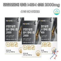 MSM 엠에스엠 해조칼슘 FDA인증 뼈건강 관절 연골 미국산 초록입홍합 상어연골 생선 피쉬콜라겐 유황가루