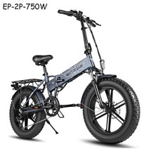 전기자전거 세금 없음 EU 재고 204.0 지방 타이어 48V12.8A 45KMH 모터, EP-2 750W-GY, 협동사