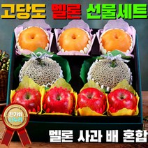 국내산 고당도 머스크메론 2과 3과 4과 사과 + 배 혼합 추석 명절 감사 선물세트, 선물세트_머스크 멜론 2구, 상세페이지 참조