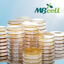 PDA (Potato Dextrose Agar) Plate/ MBcell 미생물 배지/ 생배지-제조된 배지/ 진균 곰팡이 배양배지, 10Ea