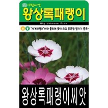 [워터트리몰] 왕상록패랭이 씨앗(5000립) 채소 꽃 종자 재배 씨앗 허브 나무 (A)