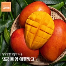 고씨네 프리미엄 사과망고2kg 사과망고 수입산망고애플망고 망고포도 애플망고자르는법 냉동망고 망고효능 애플망고후숙 태국망고 제주애플망고 망고쇼핑몰 망고선물세트 제주망고 무지개망고 골드망고 제주도망고 제주도애플망고 애플망고효능 필리핀망고 아이스망고 대만애플망고 카라바, 본상품