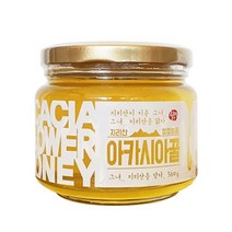 지리산피아골식품 피아골미선씨 지리산에서 온 천연 아카시아 벌꿀 560g, 단품/단품