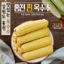 강원도 산지직송 맛있는 홍천 미백 찰 찐 삶은 옥수수 10개 20개 30개 찰옥수수 아이간식 디저트 소울푸드, 강원도 국산 냉동 찐 옥수수 10개
