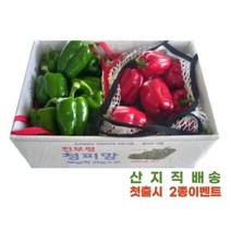 진부령피망 고랭지 청피망홍피망 프리미엄 선물용 특2kg x 2