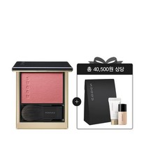 단독세트 멜팅 파우더 블러쉬 스무드 커버 프라이머 10ml+프로텍팅 데이크림 6g, 06 해질녘 노을