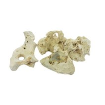 신바람 해구석 랜덤 2kg 내외