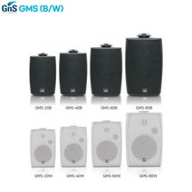 GNS 지앤에스 GMS-20 BW 20W 패션스피커 벽부형, 1.GMS-20 색상:블랙