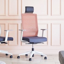 내일출발듀오백 스퀘어 DQ-HLJA-CW 럼버서포트 메쉬의자 사무의자DQ-HLJA-CW, 그레이