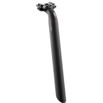 리치 슈퍼로직 1-볼트 카본 싯포스트 - 매트 UD 시트포스트 안장봉, 30 9mm x 300mm
