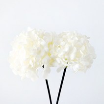 시즈넬 디퓨저 플라워스틱 미니수국, 2개입, 화이트