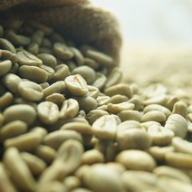 다크브릭스 온두라스 SHG 생두 1Kg, 1개