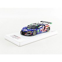 TSM MODEL 143 Acura NSX GT3 IMSA 왓킨스 글렌 2018#69 HART 완제품