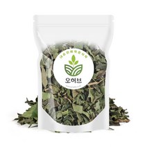 오허브 국내산 황칠나무 잎 황칠차 250g, 황칠나무잎250g