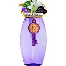일본직발송 6. 화장품 텍스롤랜드 키 샤인 올인원 헤어 샴푸 FL (꽃 향기) 400ML B009A4T1MA, One Size, One Color