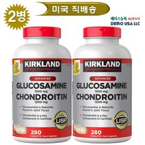 커클랜드 Kirkland Signature Glucosamine & Chondroitin 220 T 시그니처 글루코사민 콘드로이친 220정 2병