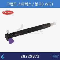 DELPHI 델파이 그랜드 스타렉스 포터2 봉고3 WGT 커먼 레일 인젝터 33800-4A710 28229873