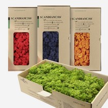 공기정화 스칸디아모스 500g 음지식물 이끼 화분 DIY 세트, 내츄럴_자연500g